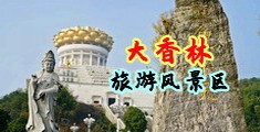 插视频骚视频中国浙江-绍兴大香林旅游风景区